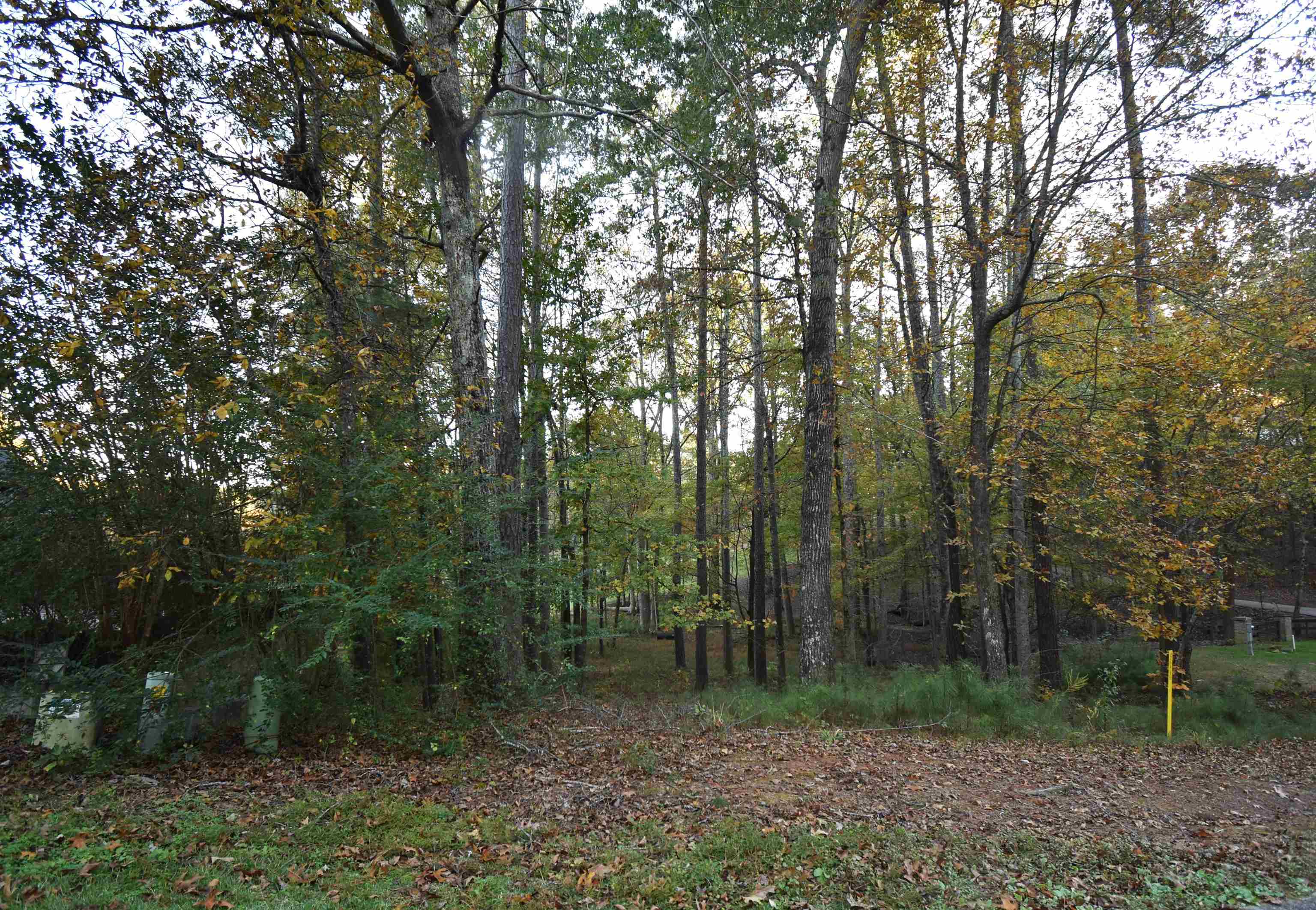 Lot 91 Fairway Dr