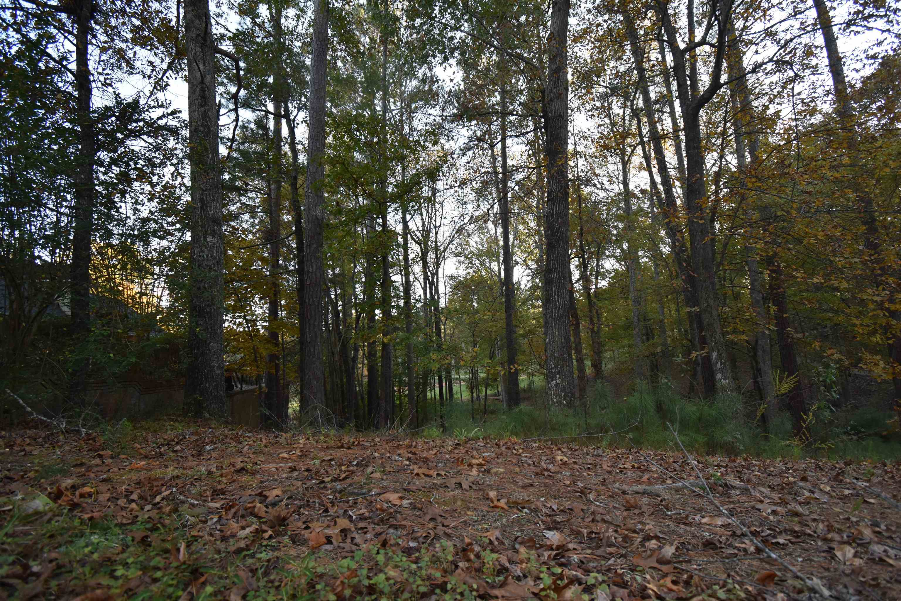 Lot 91 Fairway Dr