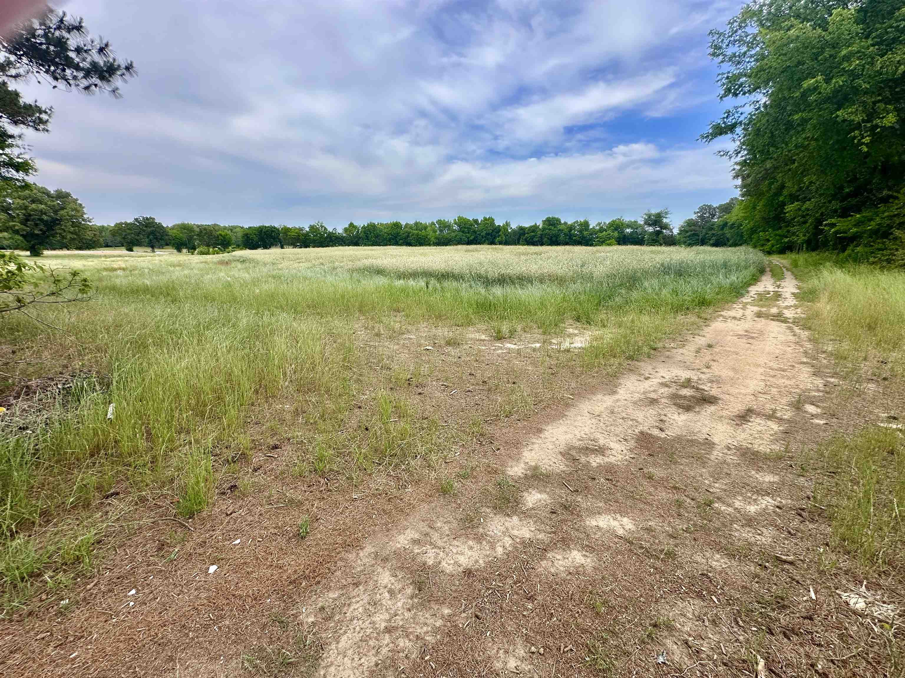4772 Hwy 43