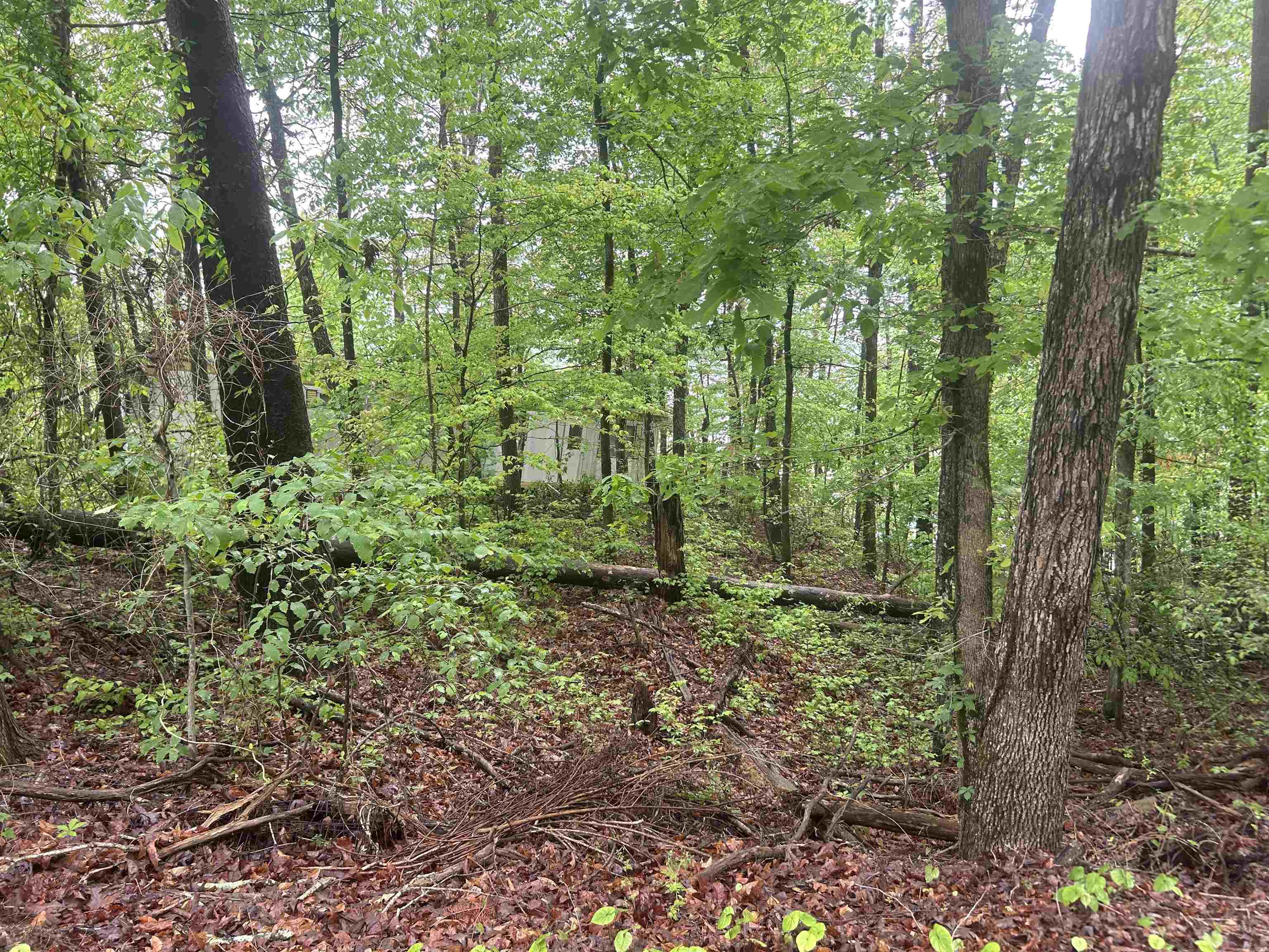 Lot 2 Co Rd 198