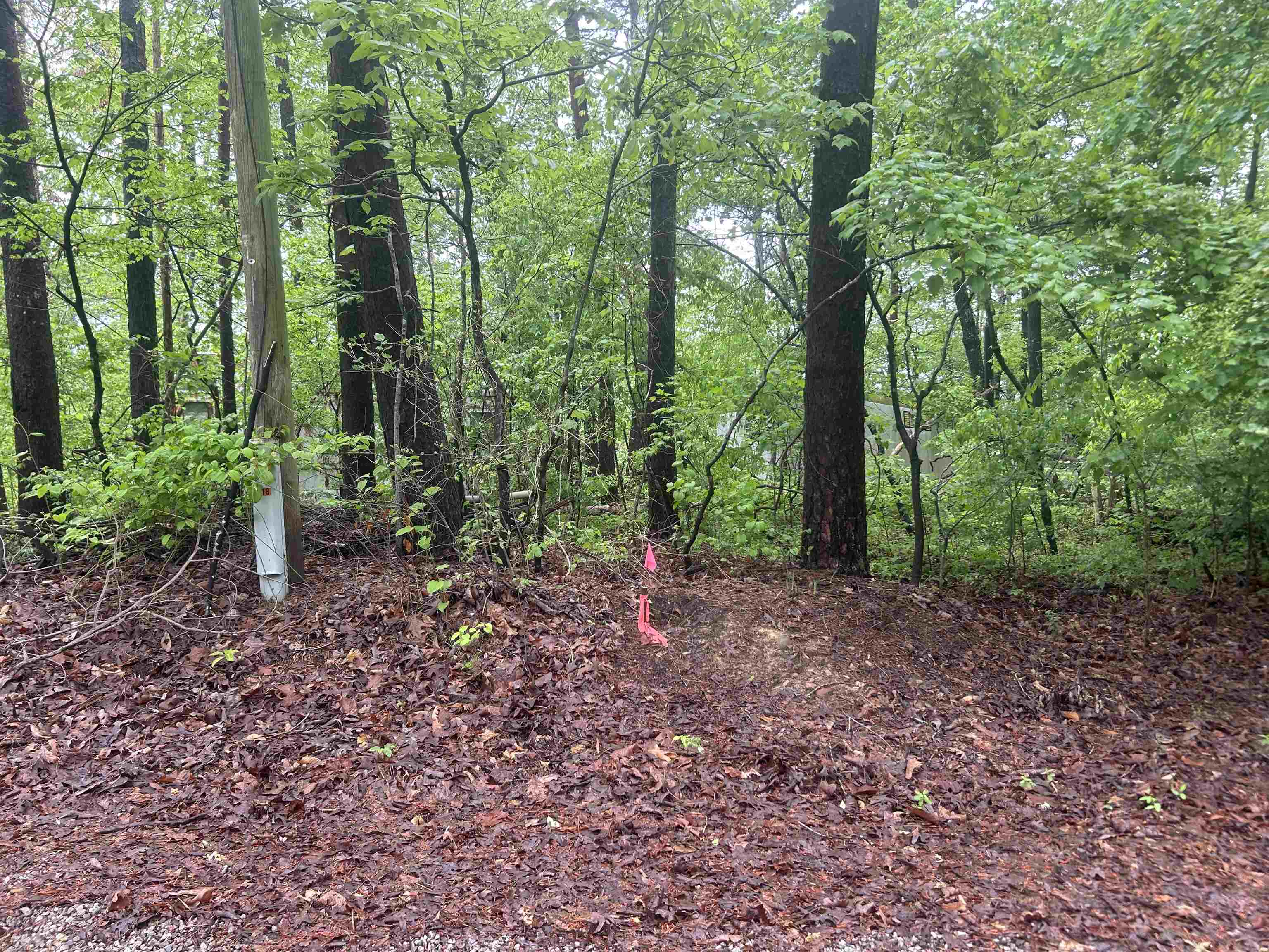 Lot 2 Co Rd 198
