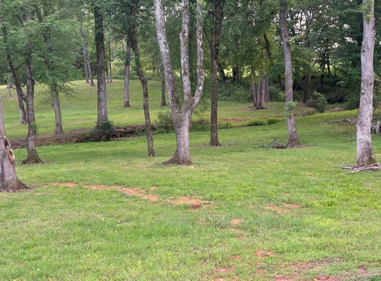 30 COUNTY RD 30, FLORENCE, AL 35634 - Image 0a76b2e4b8a05b077e2ec55ee9120485/628796852