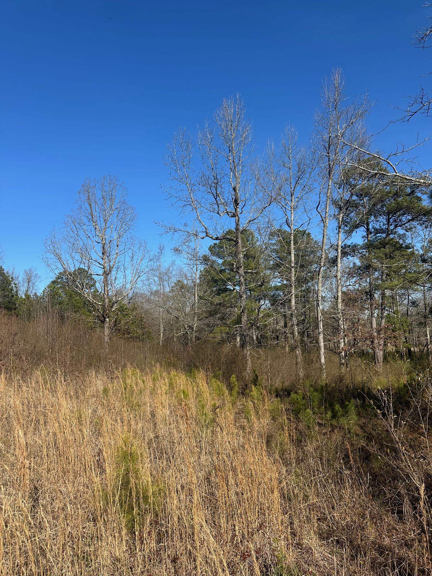 0 North Montcrest St