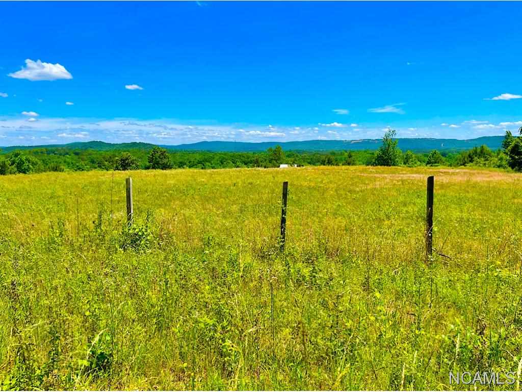 630 Co Rd 503
