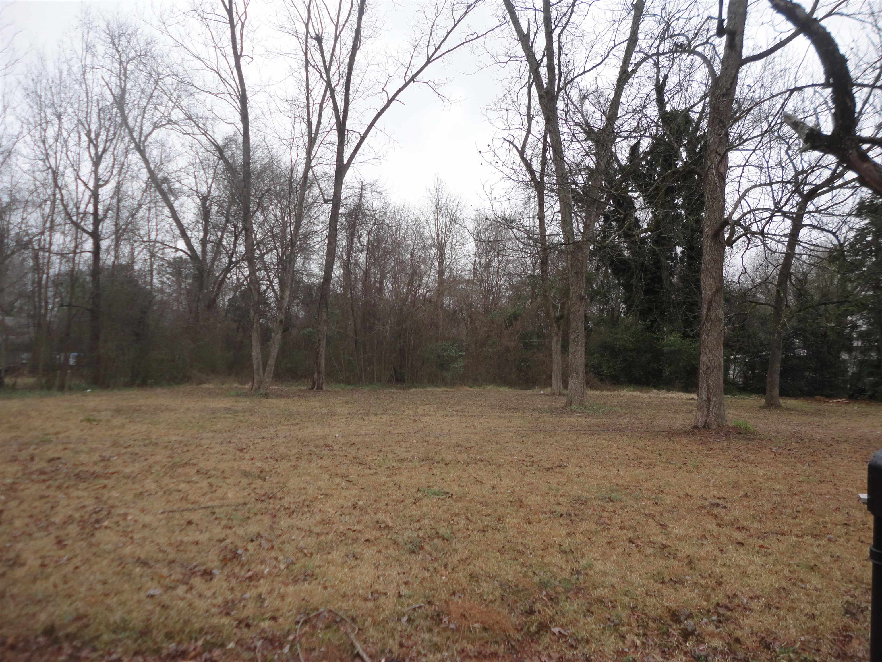 Photo 1 of 1 — 0 Whaley Ave, Hanceville, AL 35077
