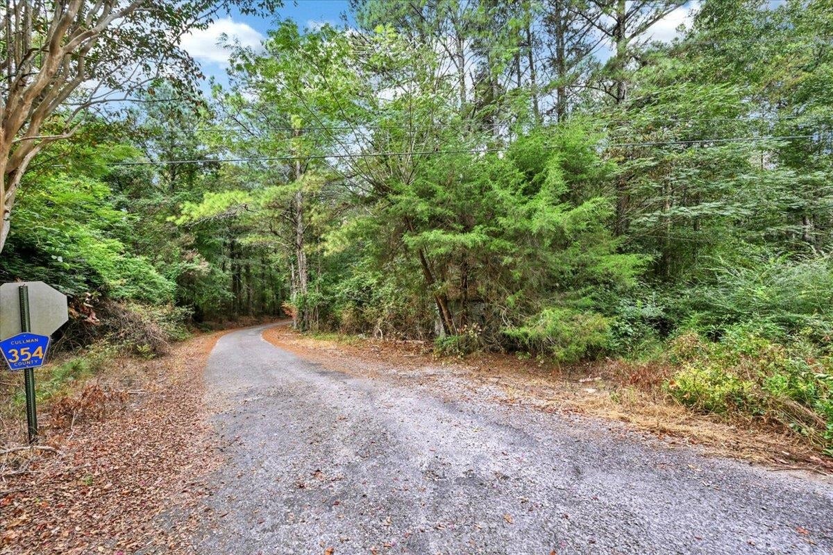 0 Co Rd 351 Tract 2