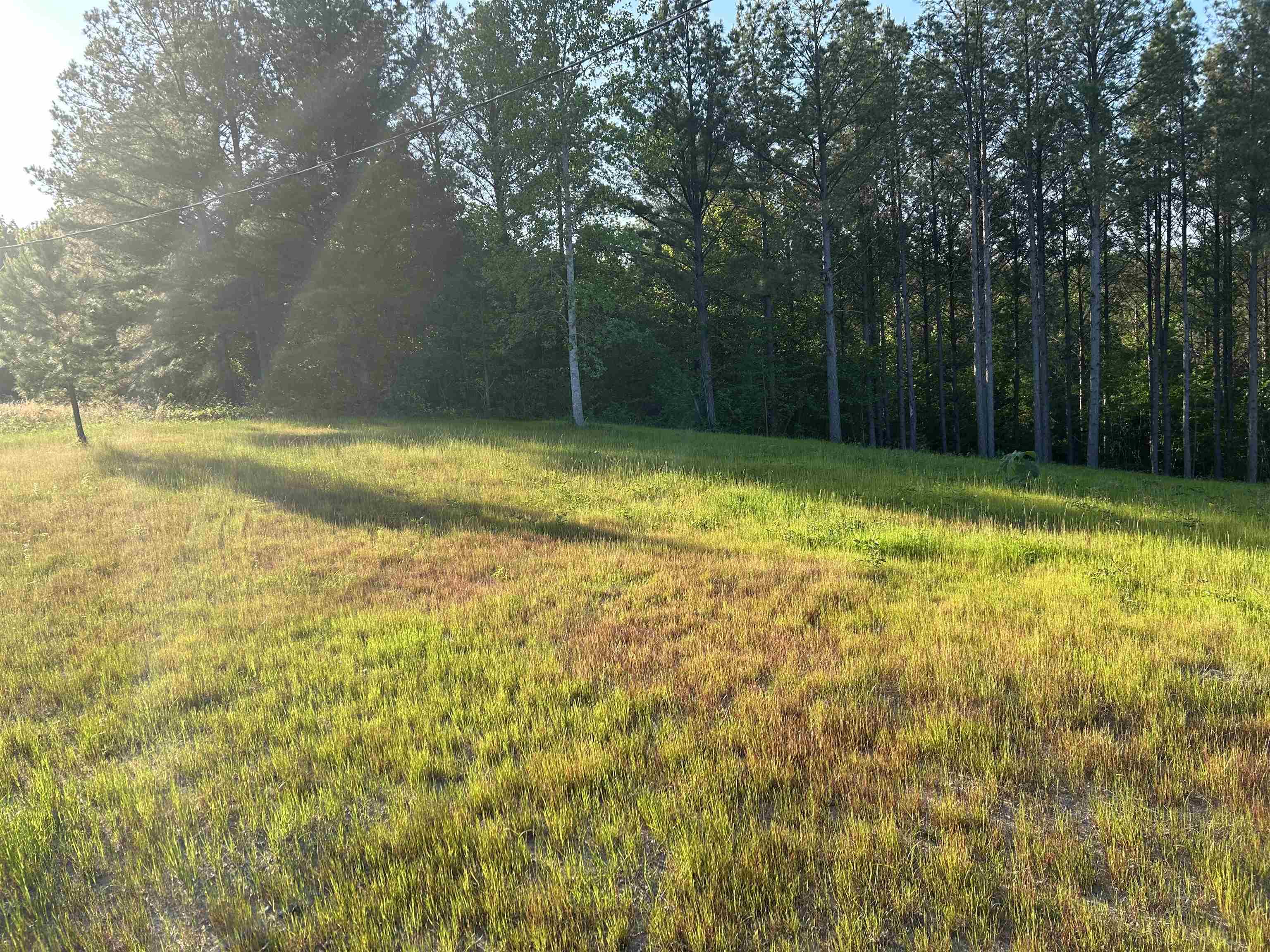 00 Co Rd 367