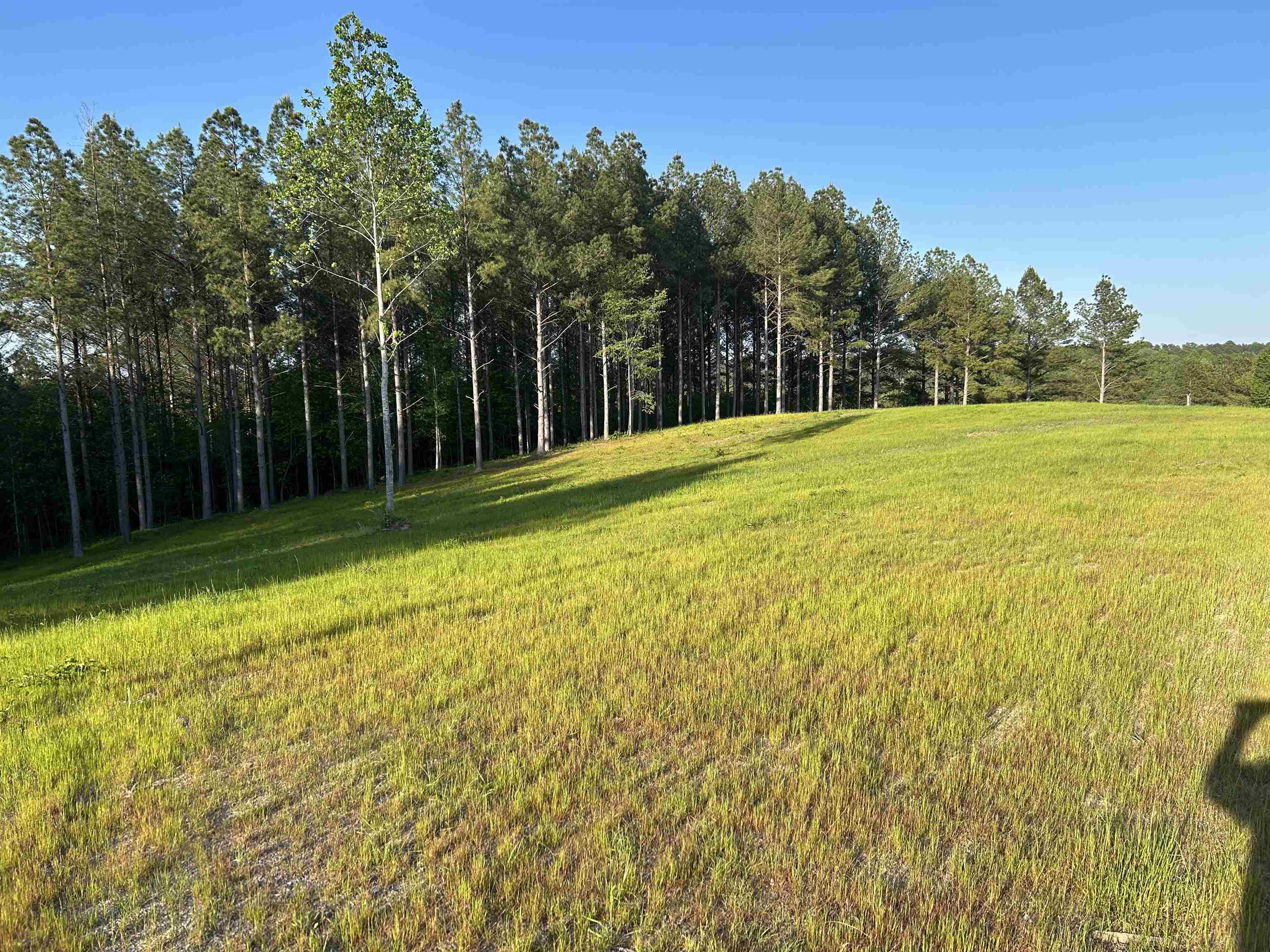 00 Co Rd 367
