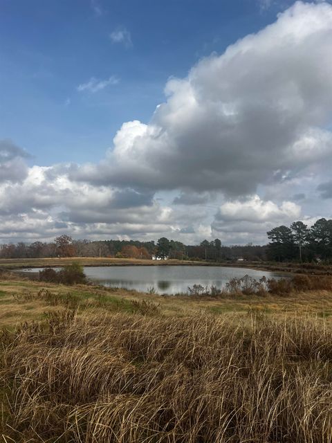 00 Co Rd 77 Arley AL 35541