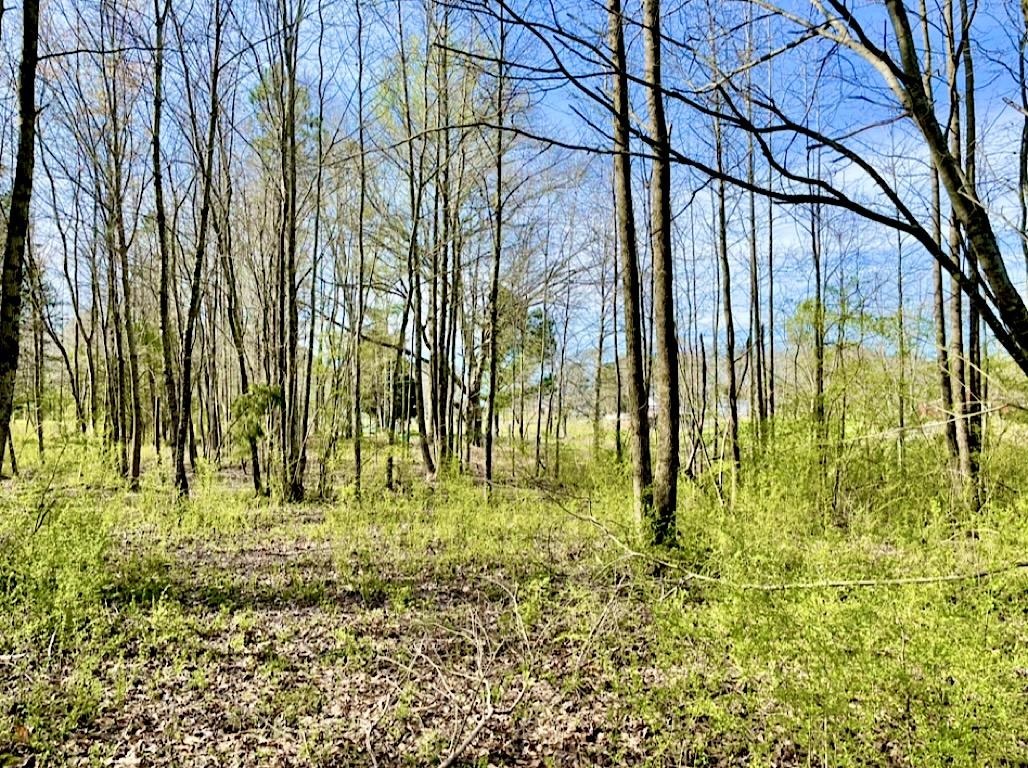 4291 Co Rd 1669