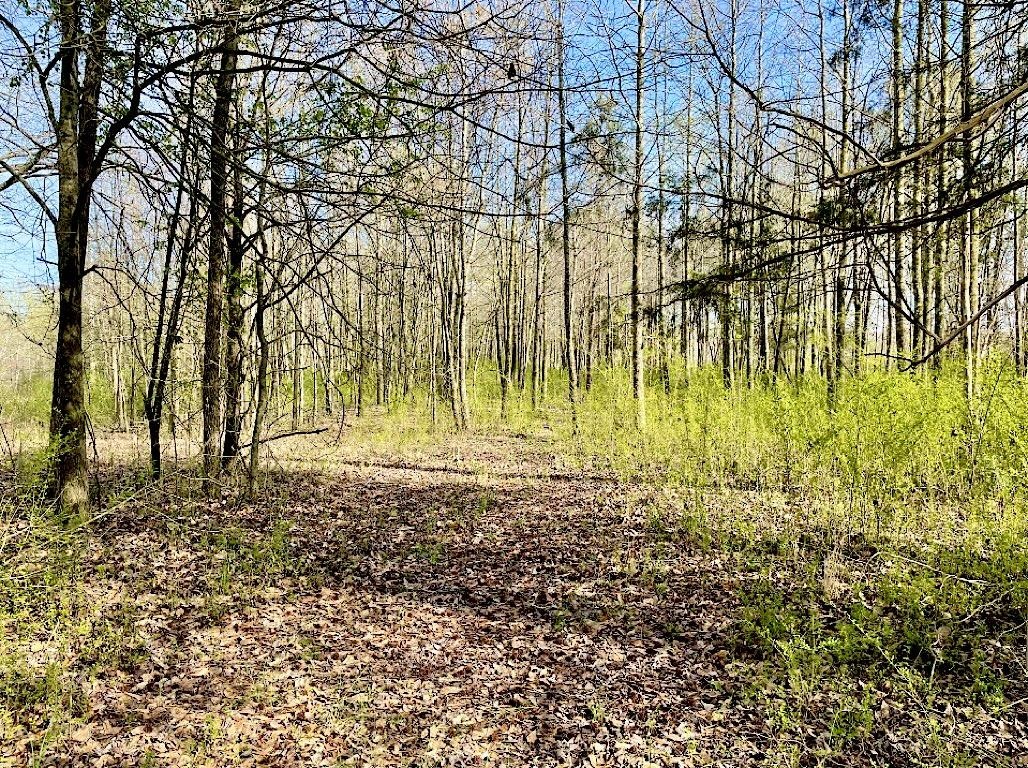 4291 Co Rd 1669