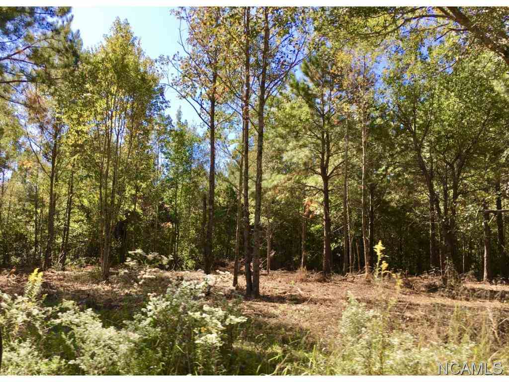 4291 Co Rd 1669