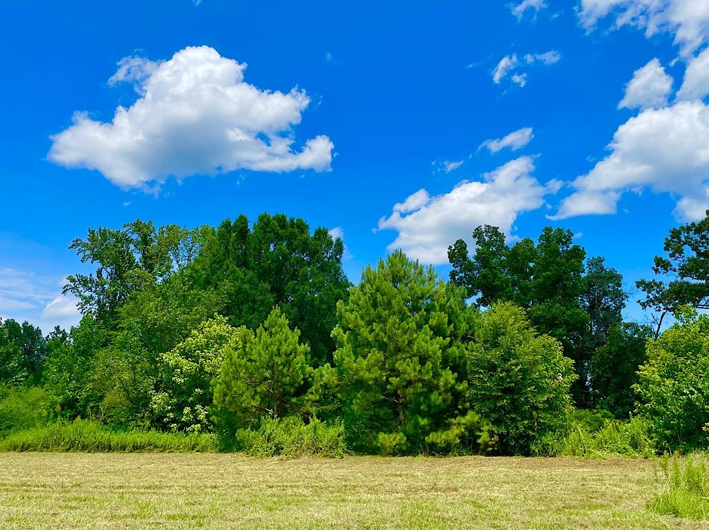 750 Co Rd 503