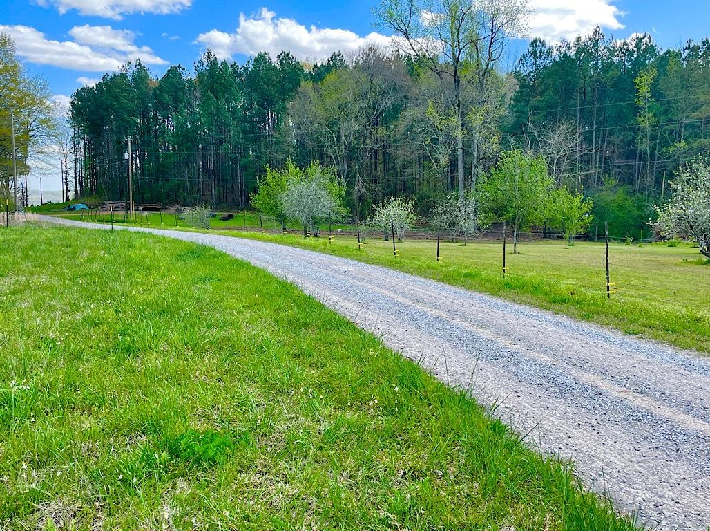 750 Co Rd 503