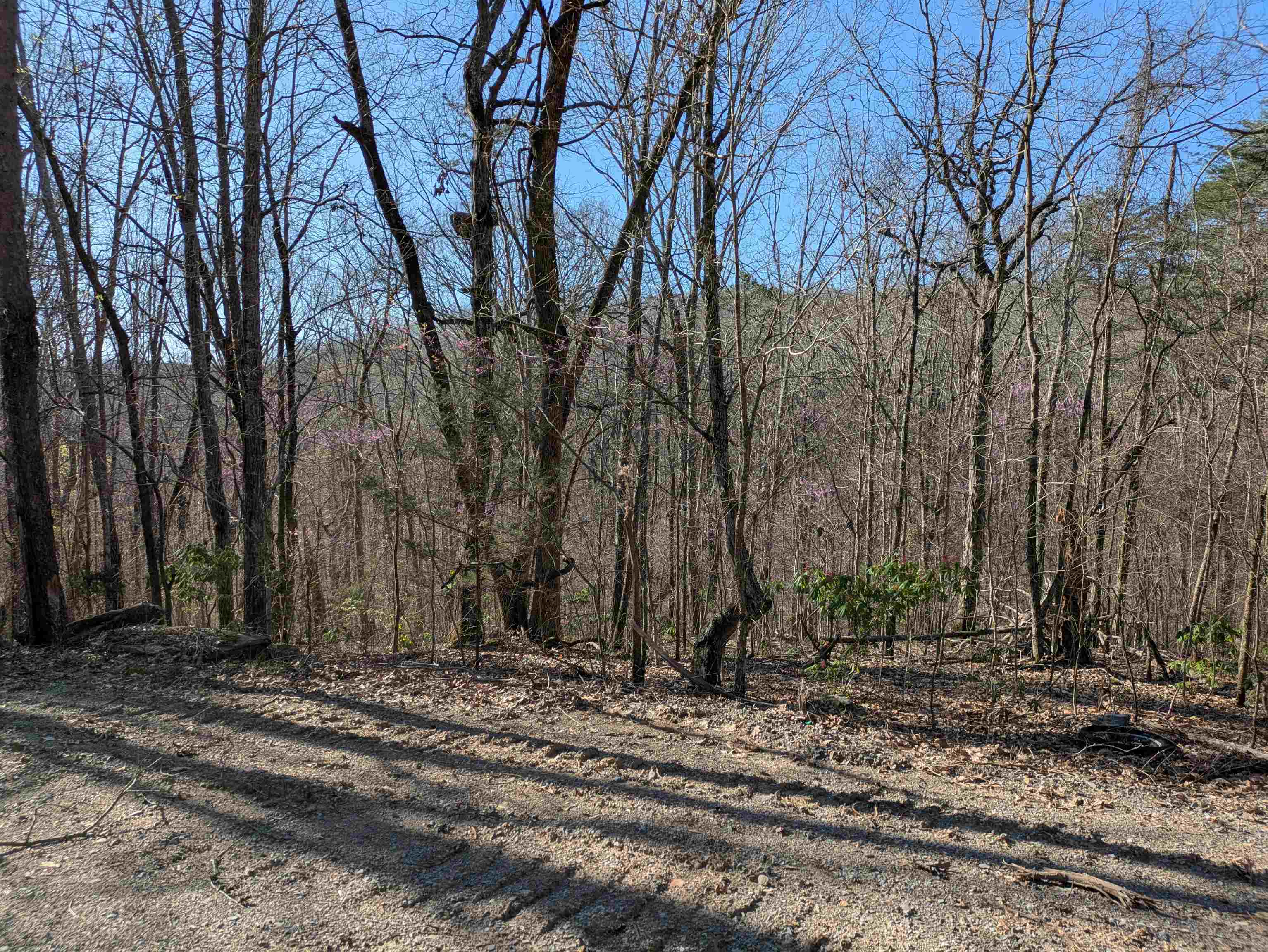 0 Bennett Hollow Rd