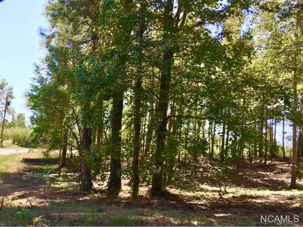 4191 Co Rd 1669