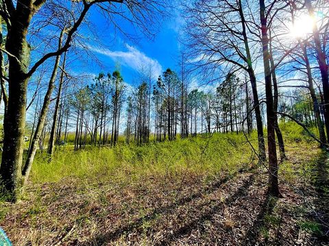 4191 Co Rd 1669 Cullman AL 35058