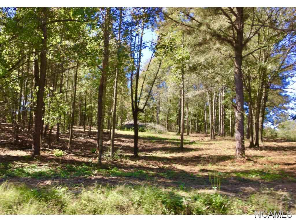 4191 Co Rd 1669