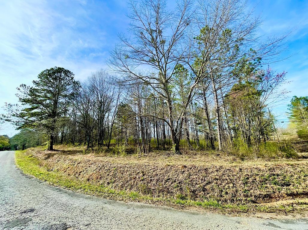 4191 Co Rd 1669