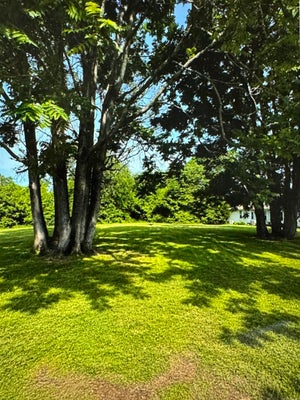 KELLER LN, TUSCUMBIA, AL 35674 - Image 1b0466acebf2b99c41a5ecd4d79f4e72/1052158575