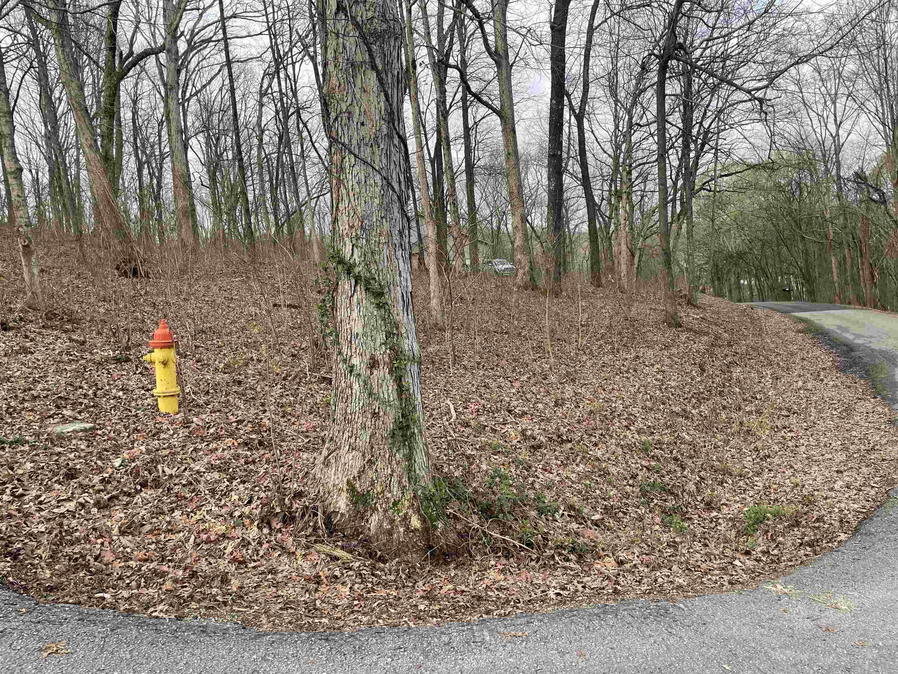 Photo 1 of 3 — 0 Twin Mountain Lp, Russellville, AL 35654