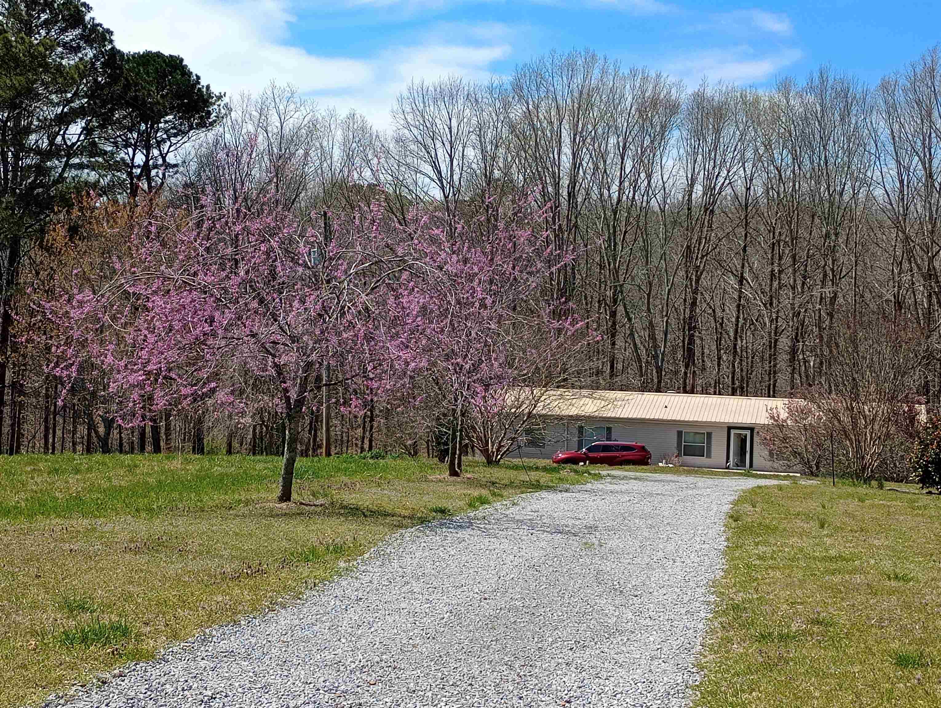 14155 Alabama Hwy 157