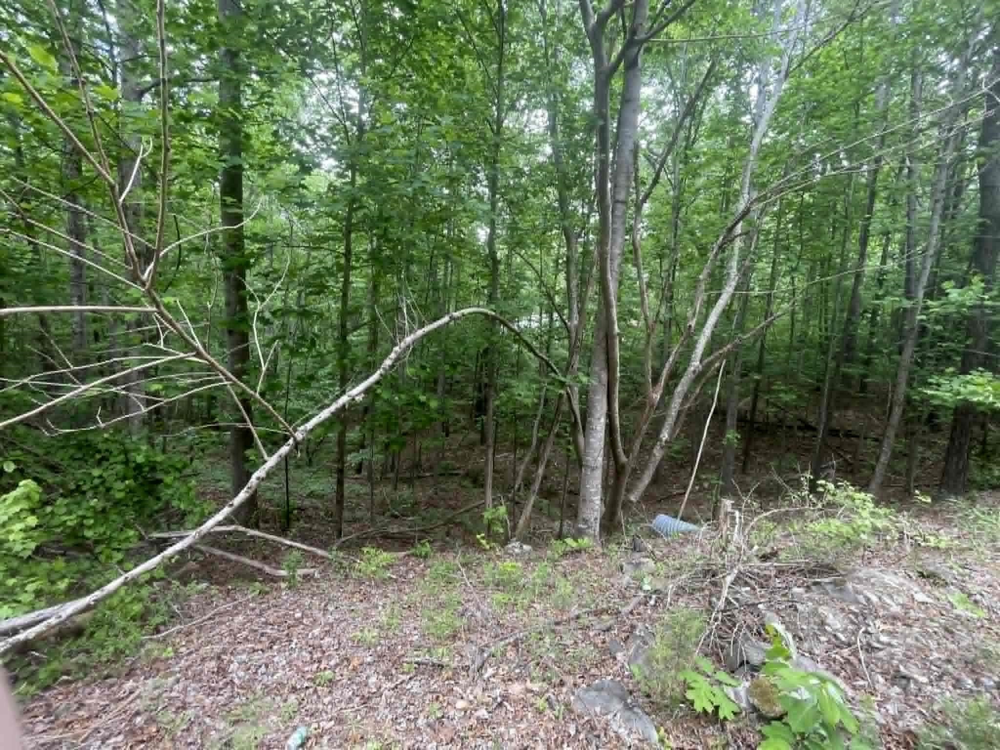 00 Bluff Way