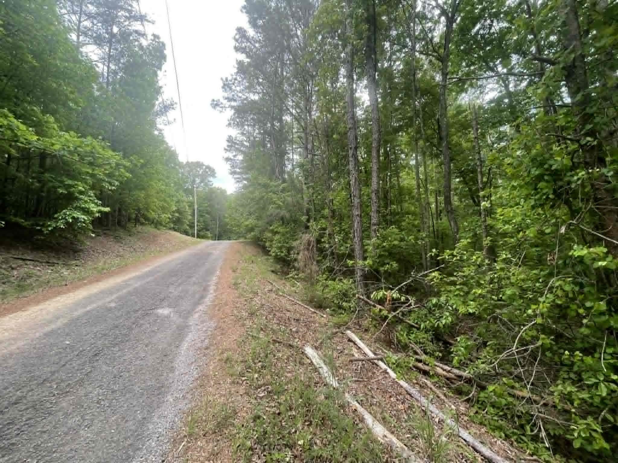 00 Bluff Way