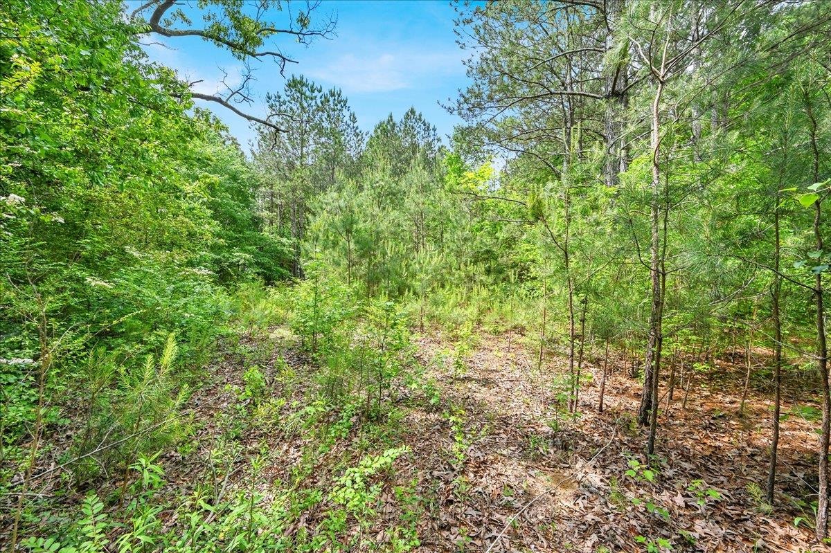 10 ac Co Rd 1718