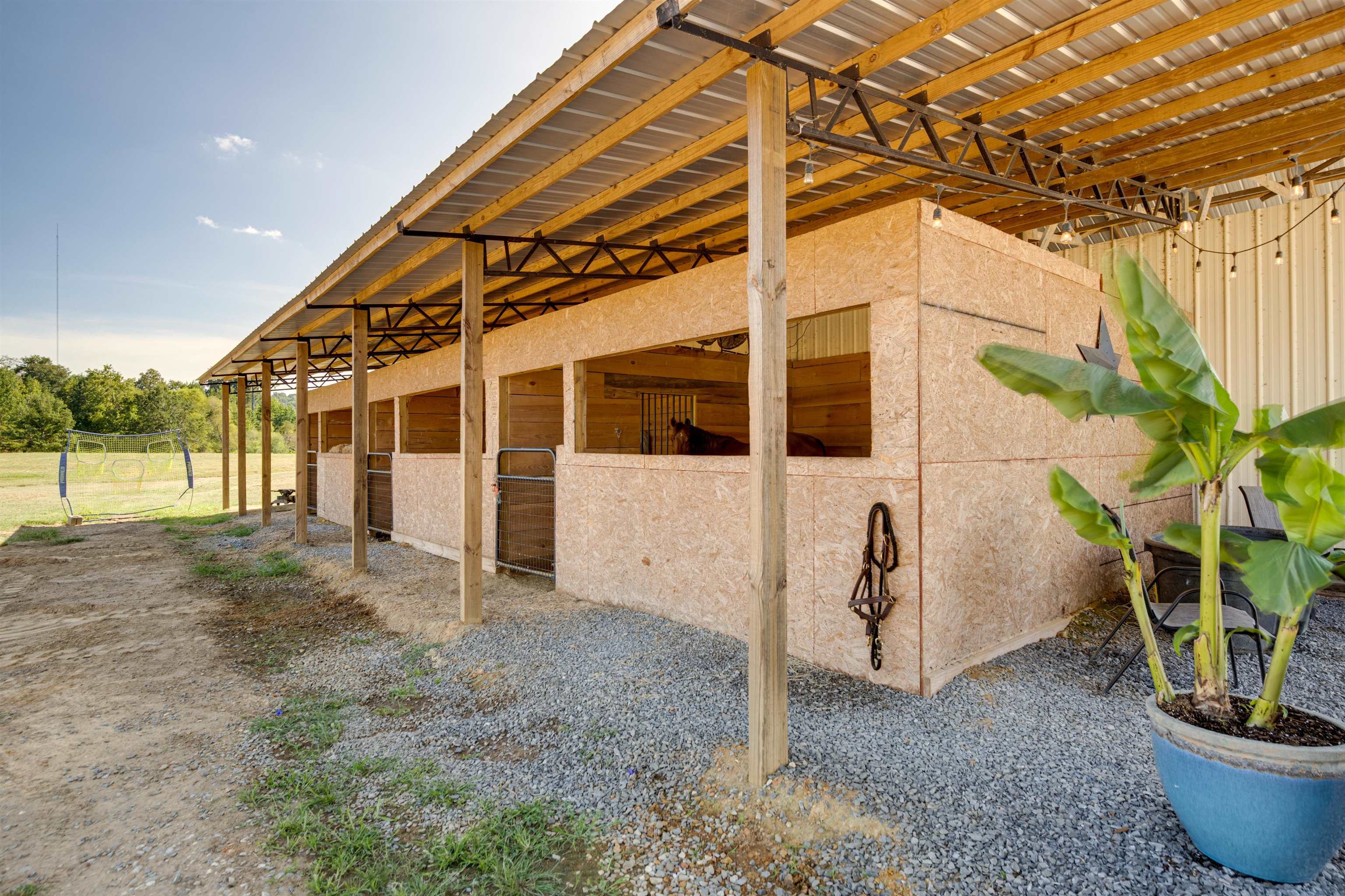 2283 Co Rd 447