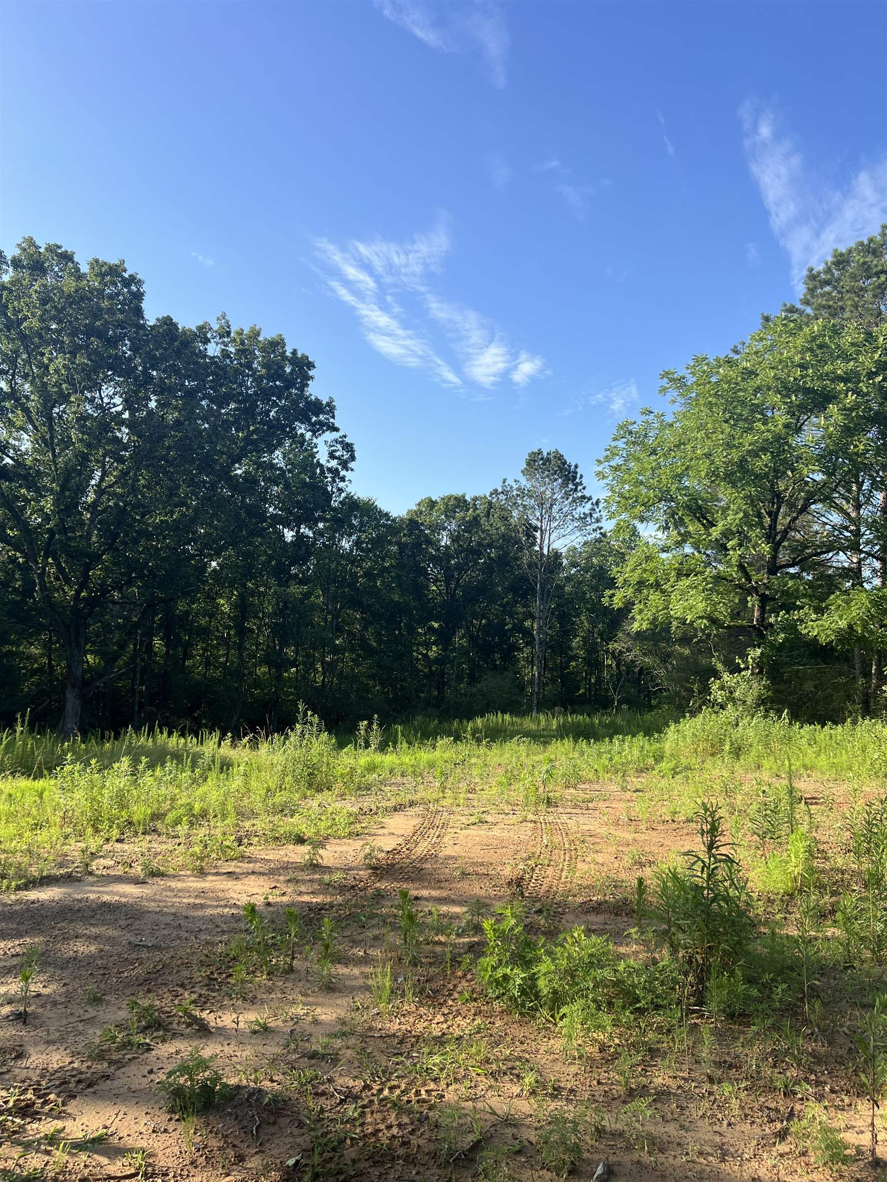 00 Co Rd 843