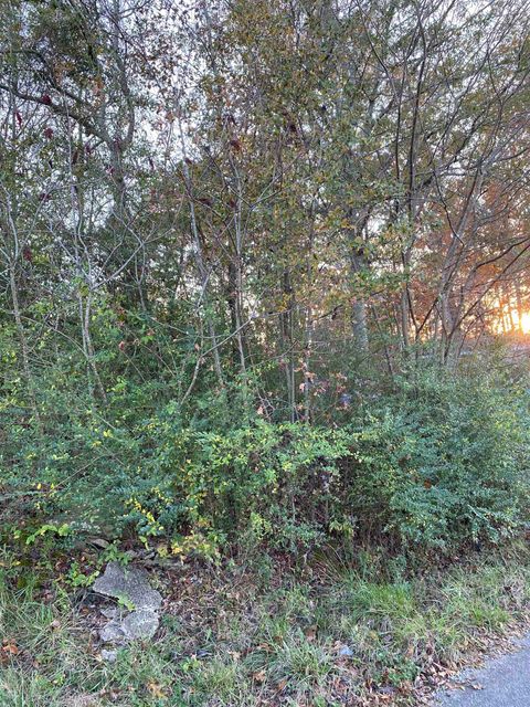 1091 Co Rd 1402 Cullman AL 35058