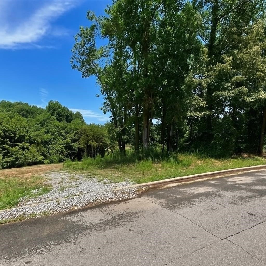 Photo 1 of 1 — 000 Stoney Creek Dr, Florence, AL 35633