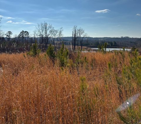 0 Co Rd 1073 Vinemont AL 35179