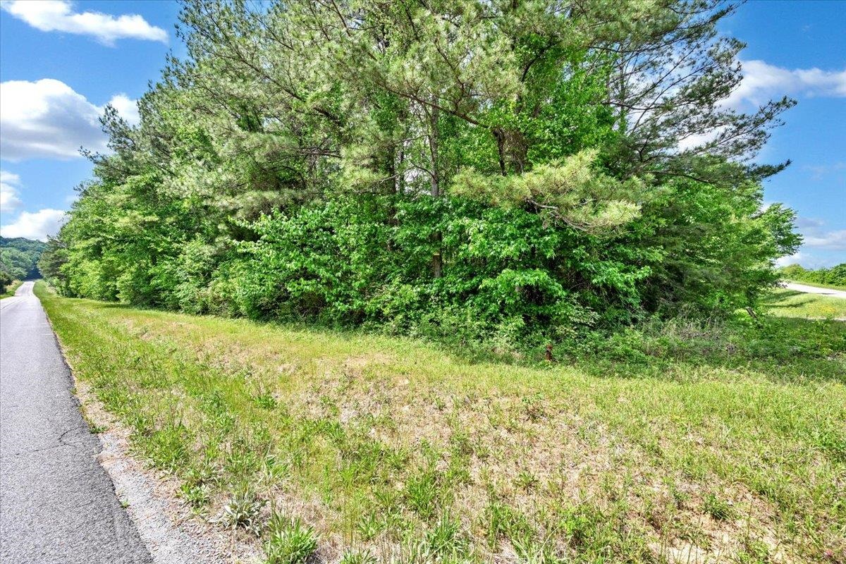 Lot 2 E Lacon Rd