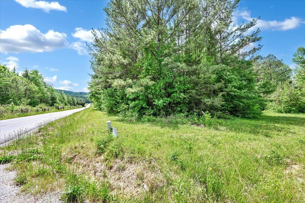 Lot 2 E Lacon Rd