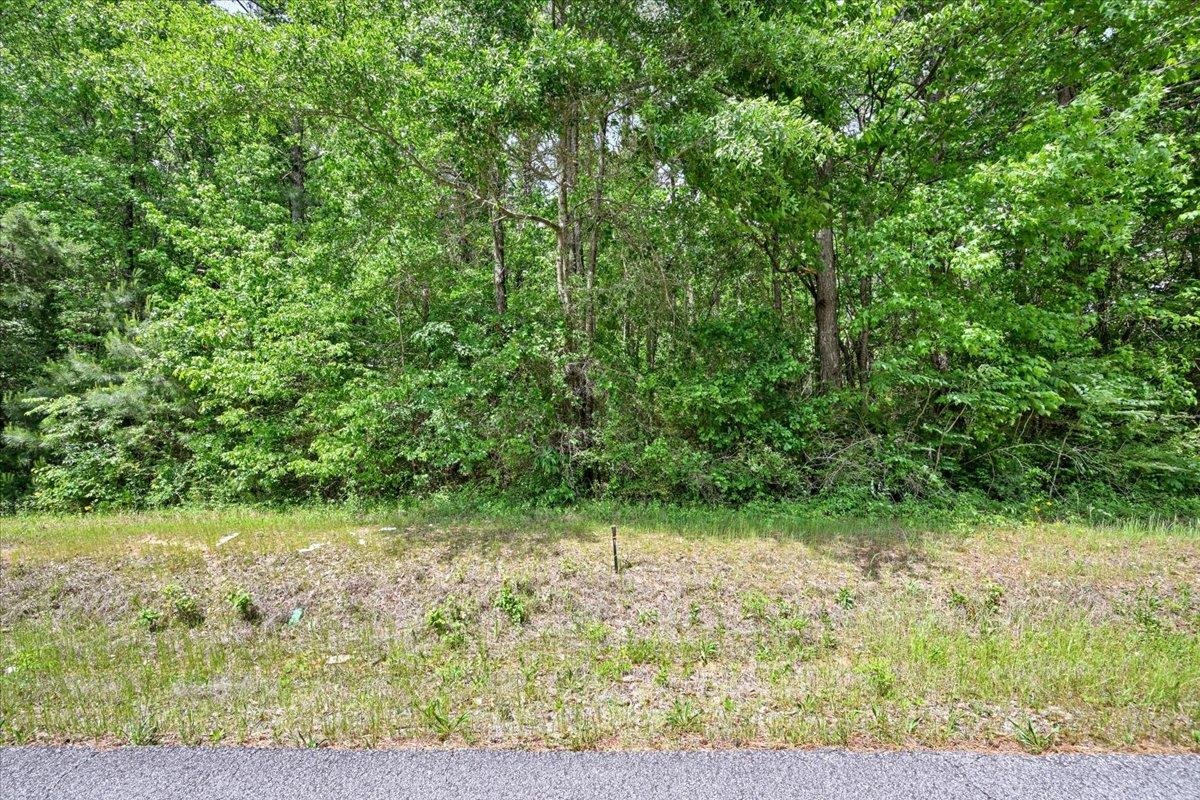 Lot 2 E Lacon Rd