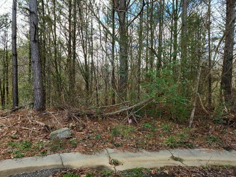 Lot 11 Co Rd 1636 Lot 11 Cullman AL 35058