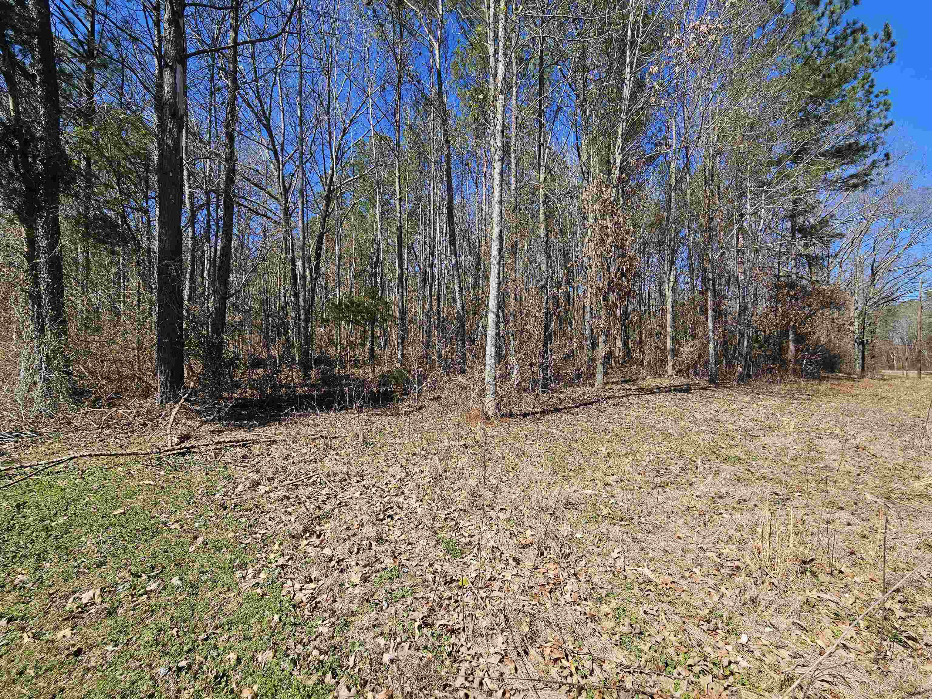 Photo 1 of 2 — 0 Clay Ave, Russellville, AL 35653