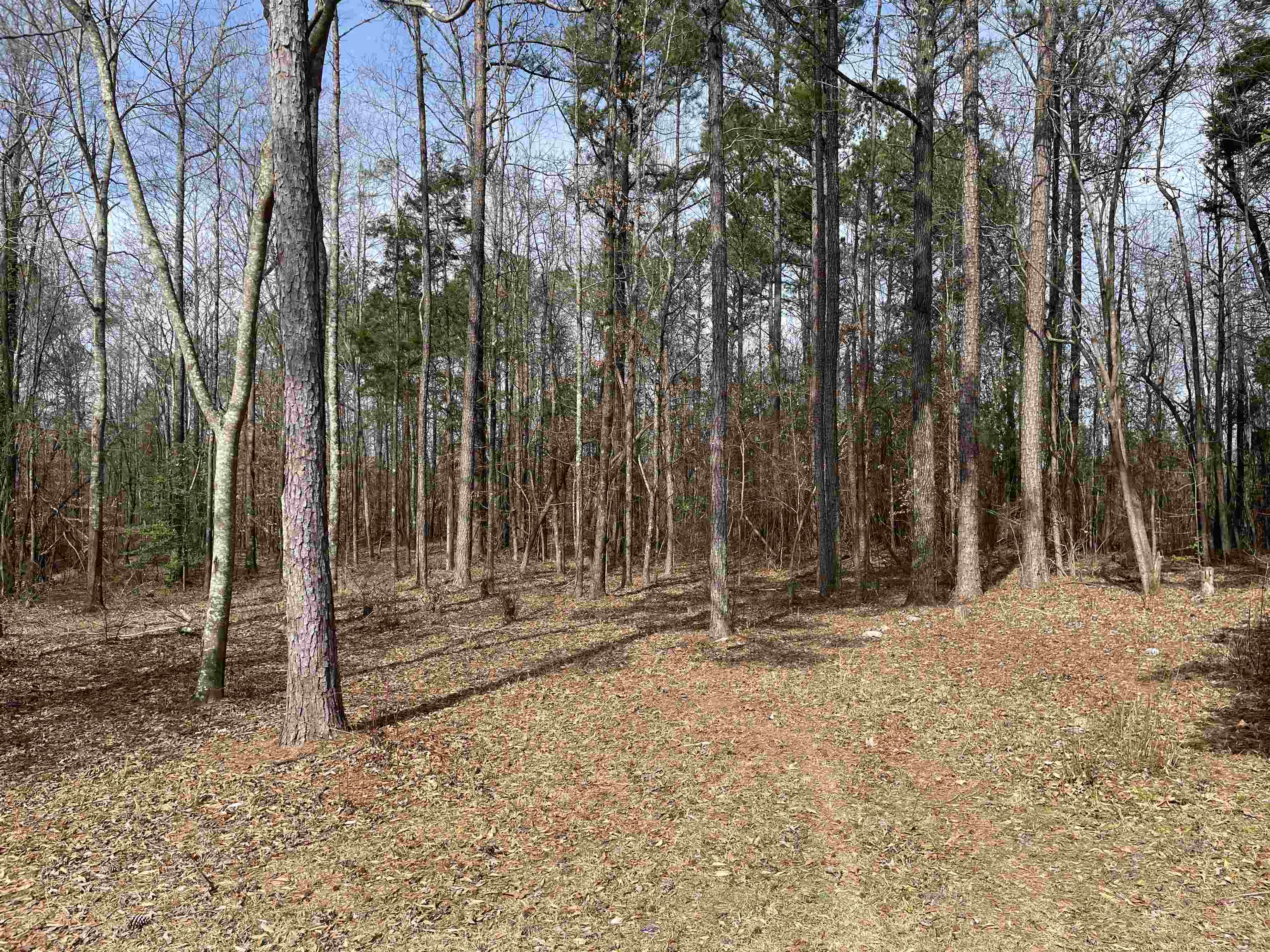 269 Turman Rd - Photo 4