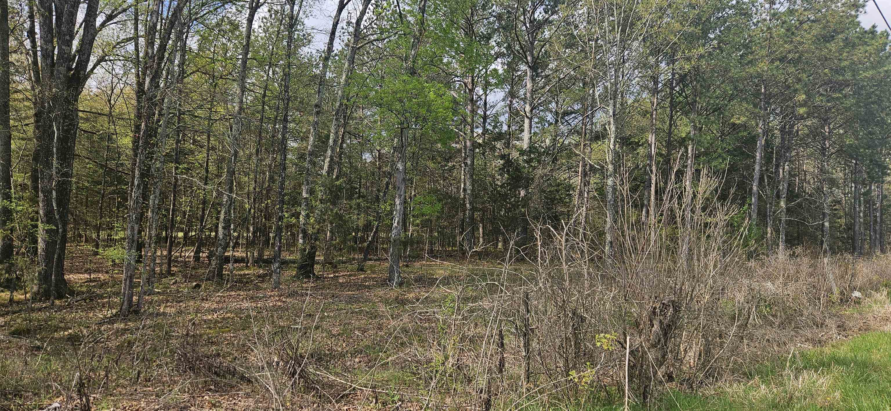 000 Hwy 72 - Photo 4