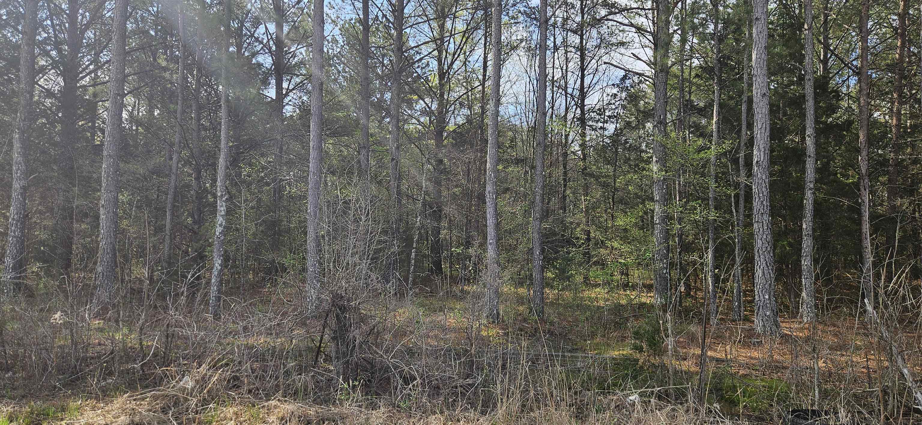 000 Hwy 72 - Photo 3