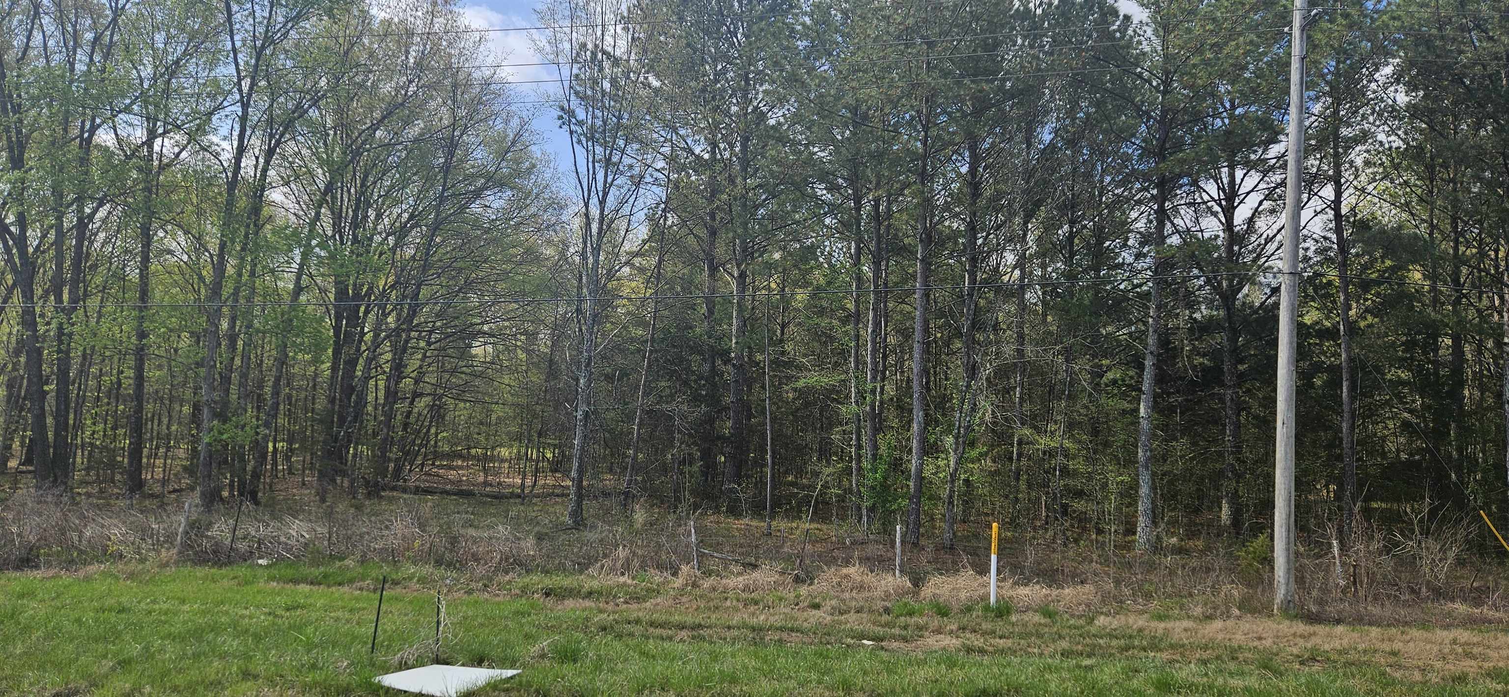 000 Hwy 72 - Photo 2