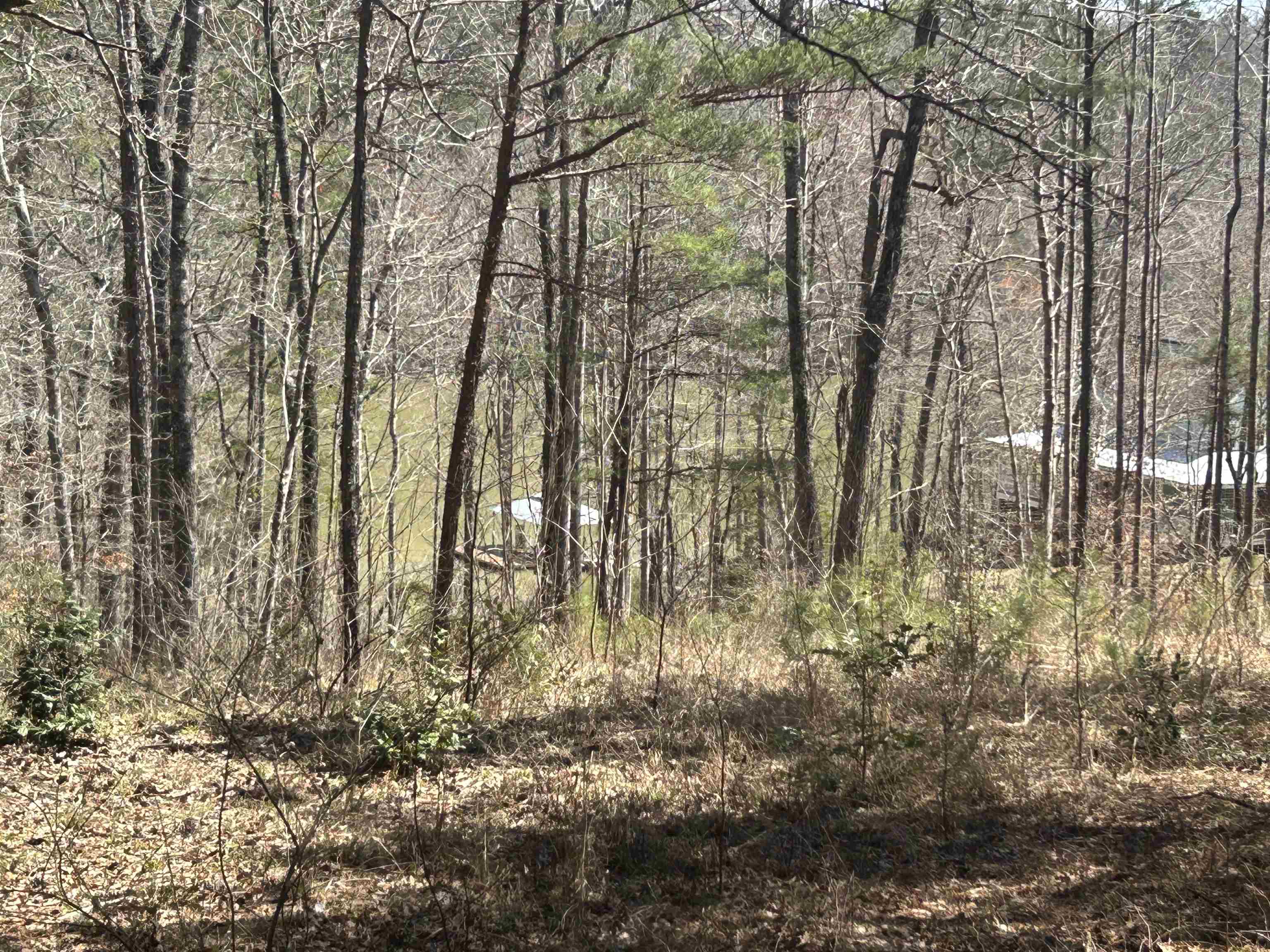 Lot 78 Shoreside Dr