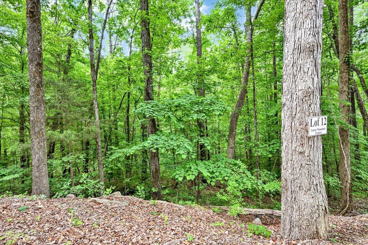 Lot 12 Mill Creek Rd