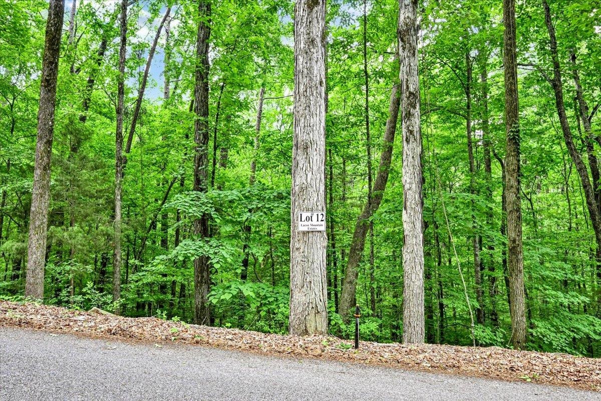 Lot 12 Mill Creek Rd