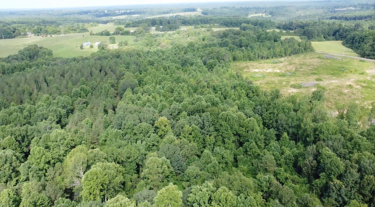 14959 Alabama Hwy 157