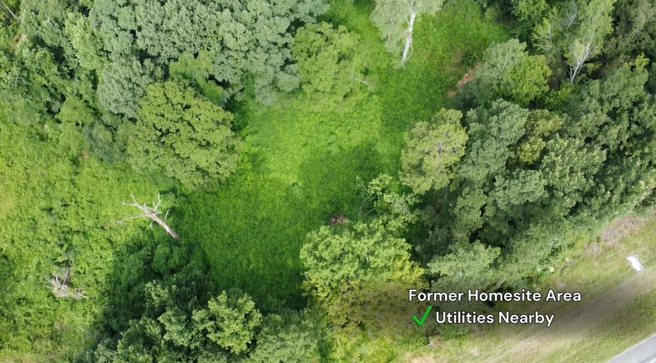 14959 Alabama Hwy 157