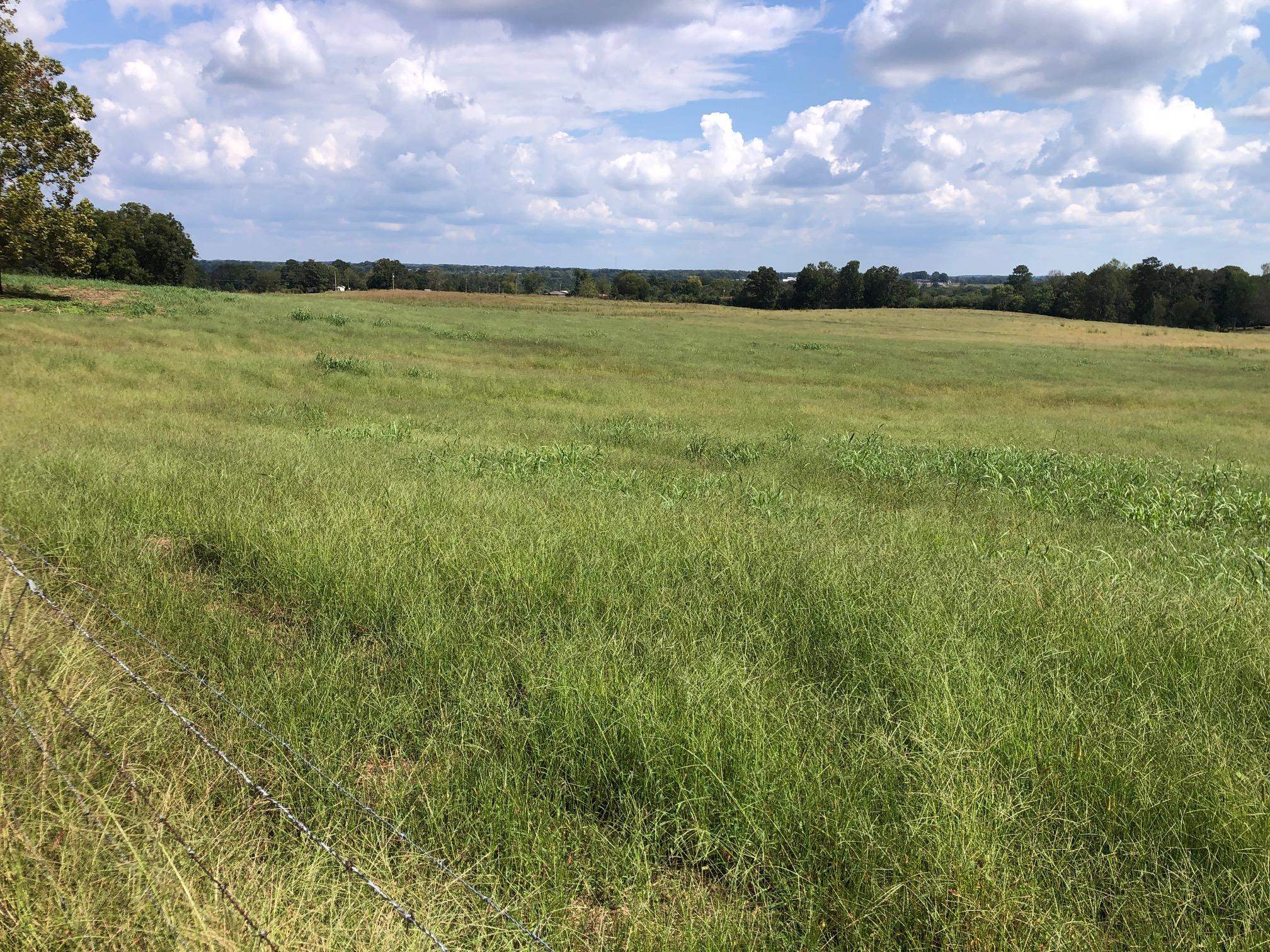 2620 Co Rd 1435