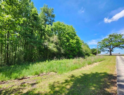 TBD Leeman Dr Cullman AL 